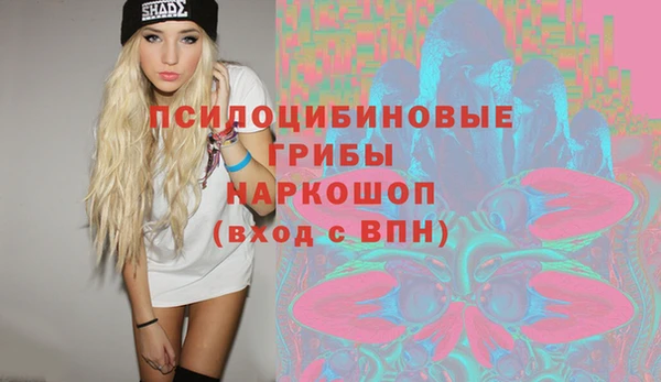 ГАЛЛЮЦИНОГЕННЫЕ ГРИБЫ Михайловка
